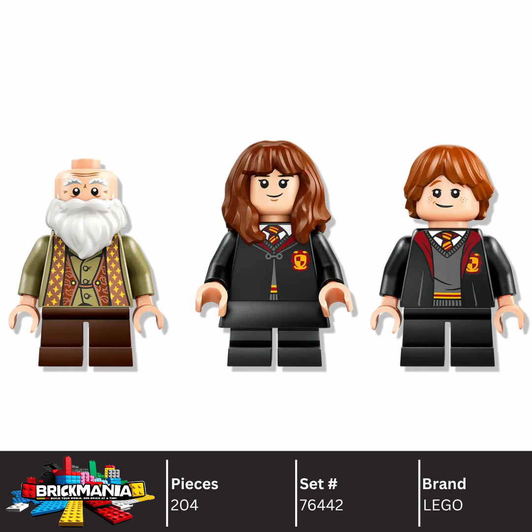 LEGO 76442 Hogwarts™ Castle: Charms Class | 204 PCS