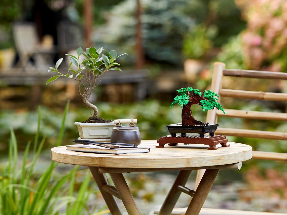 LEGO 10281 Botanicals Bonsai Tree | 878 PCS