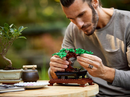 LEGO 10281 Botanicals Bonsai Tree | 878 PCS