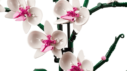 10311 Orchid | 608 PCS