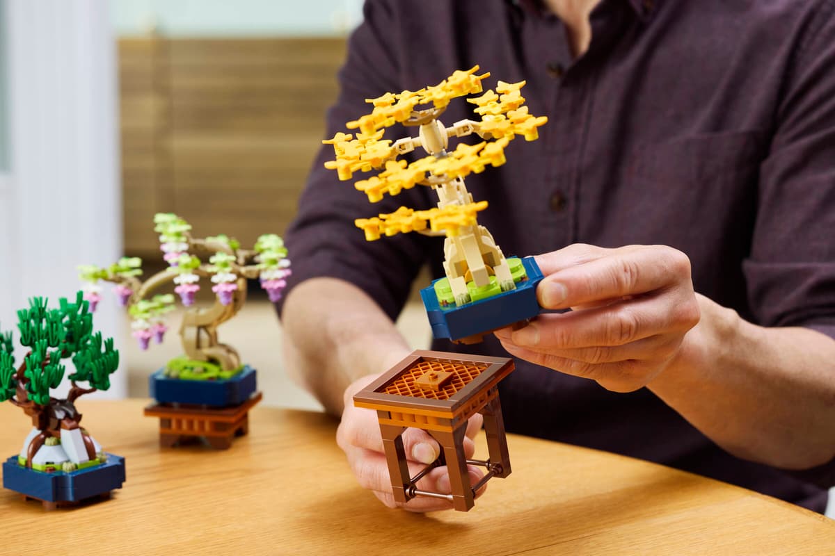 LEGO 10373 Botanicals Mini Bonsai Trees | 709 PCS