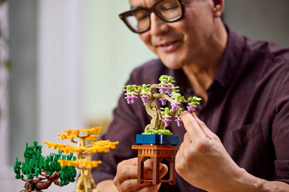 LEGO 10373 Botanicals Mini Bonsai Trees | 709 PCS