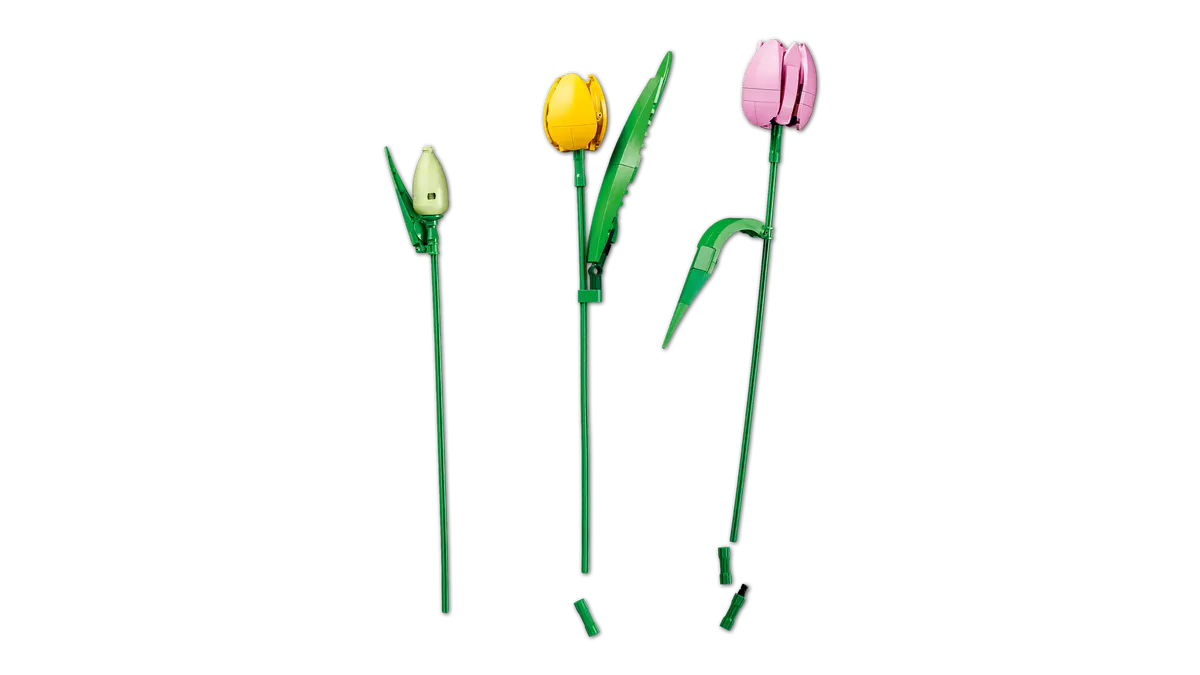 LEGO 11501 Botanicals Tulip Bouquet | 576 PCS
