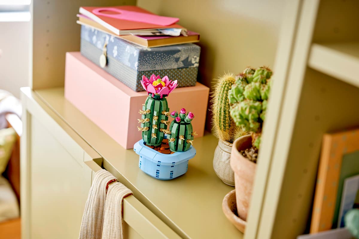 LEGO 11509 Botanicals Flowering Cactus | 482 PCS