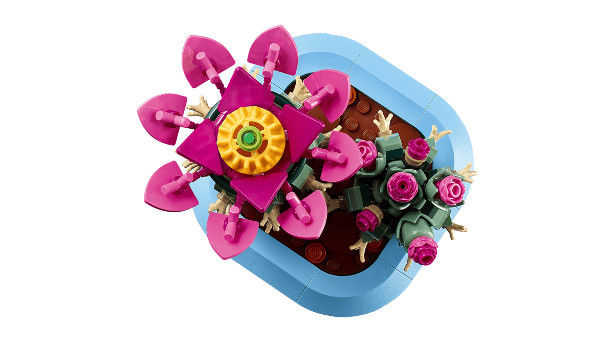 LEGO 11509 Botanicals Flowering Cactus | 482 PCS