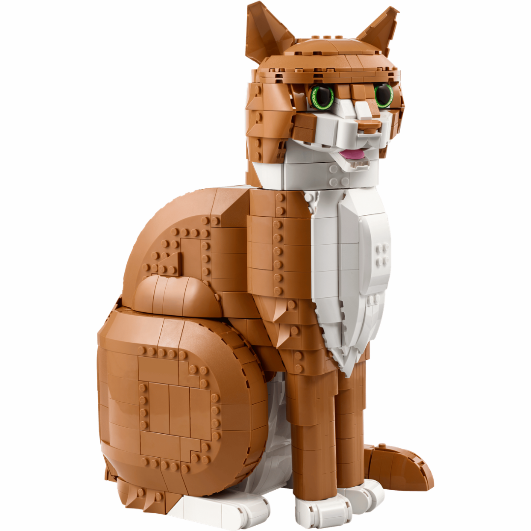 21376 Orange Cat | 1755 PCS