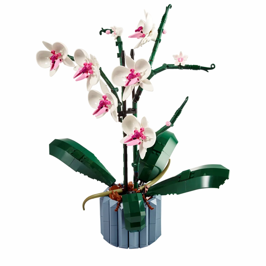 10311 Orchid | 608 PCS