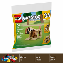 LEGO 30666 Animals | 75 PCS