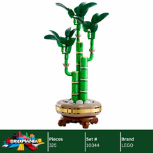 LEGO 10344 Lucky Bamboo | 325 PCS