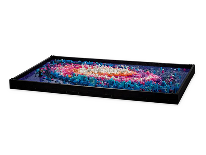 LEGO 31212 Art The Milky Way Galaxy | 3091 PCS