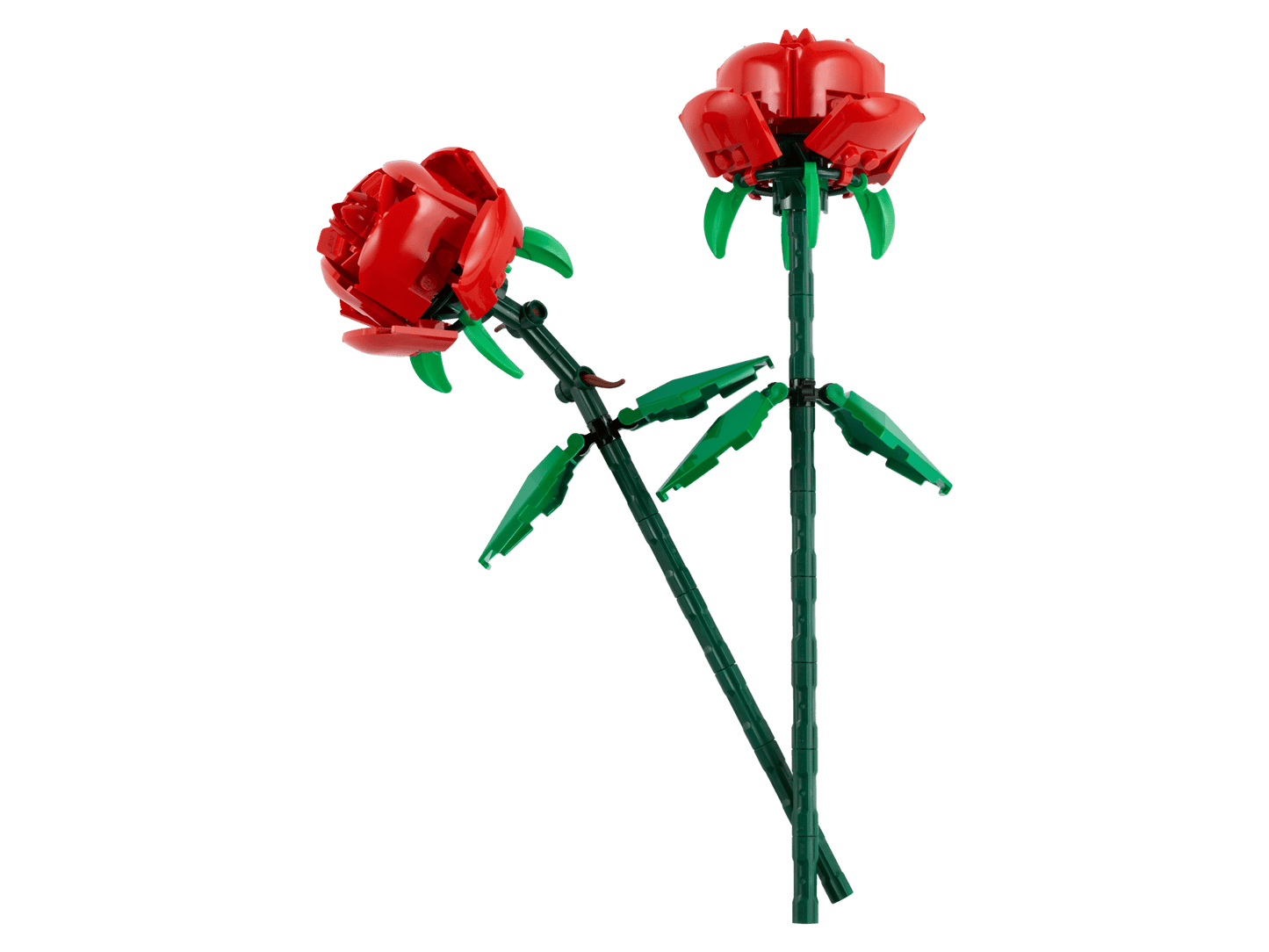 LEGO 40460 Botanicals Roses | 120 PCS