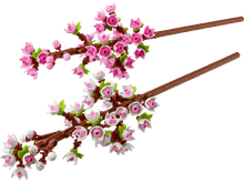 LEGO 40725 Botanicals Cherry Blossoms | 430 PCS