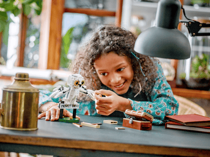LEGO 76425 Harry Potter Hedwig™ at 4 Privet Drive | 337 PCS