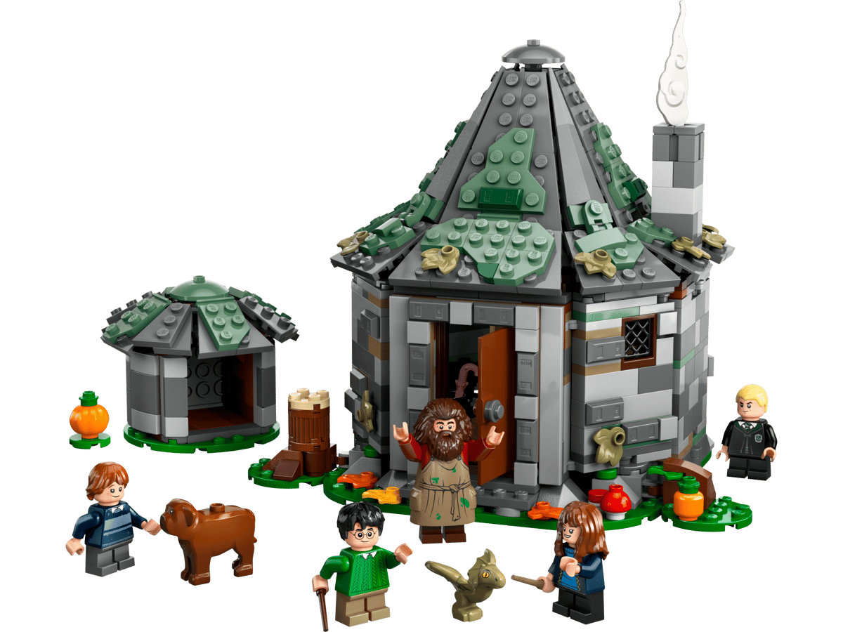 LEGO 76428 Harry Potter Hagrid's Hut: An Unexpected Visit | 896 PCS | Retired