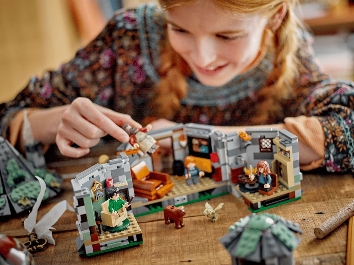 LEGO 76428 Harry Potter Hagrid's Hut: An Unexpected Visit | 896 PCS | Retired