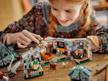 LEGO 76428 Harry Potter Hagrid's Hut: An Unexpected Visit | 896 PCS | Retired