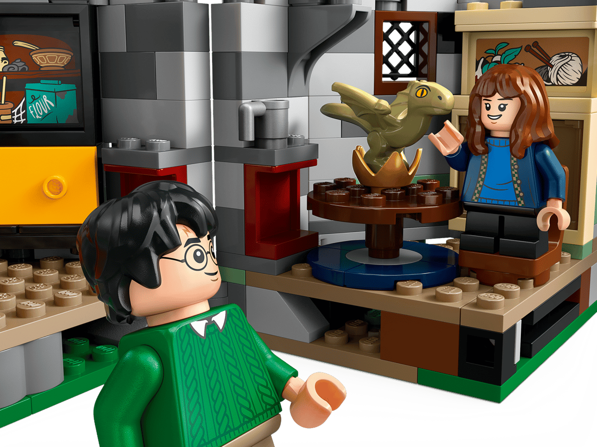 LEGO 76428 Harry Potter Hagrid's Hut: An Unexpected Visit | 896 PCS | Retired
