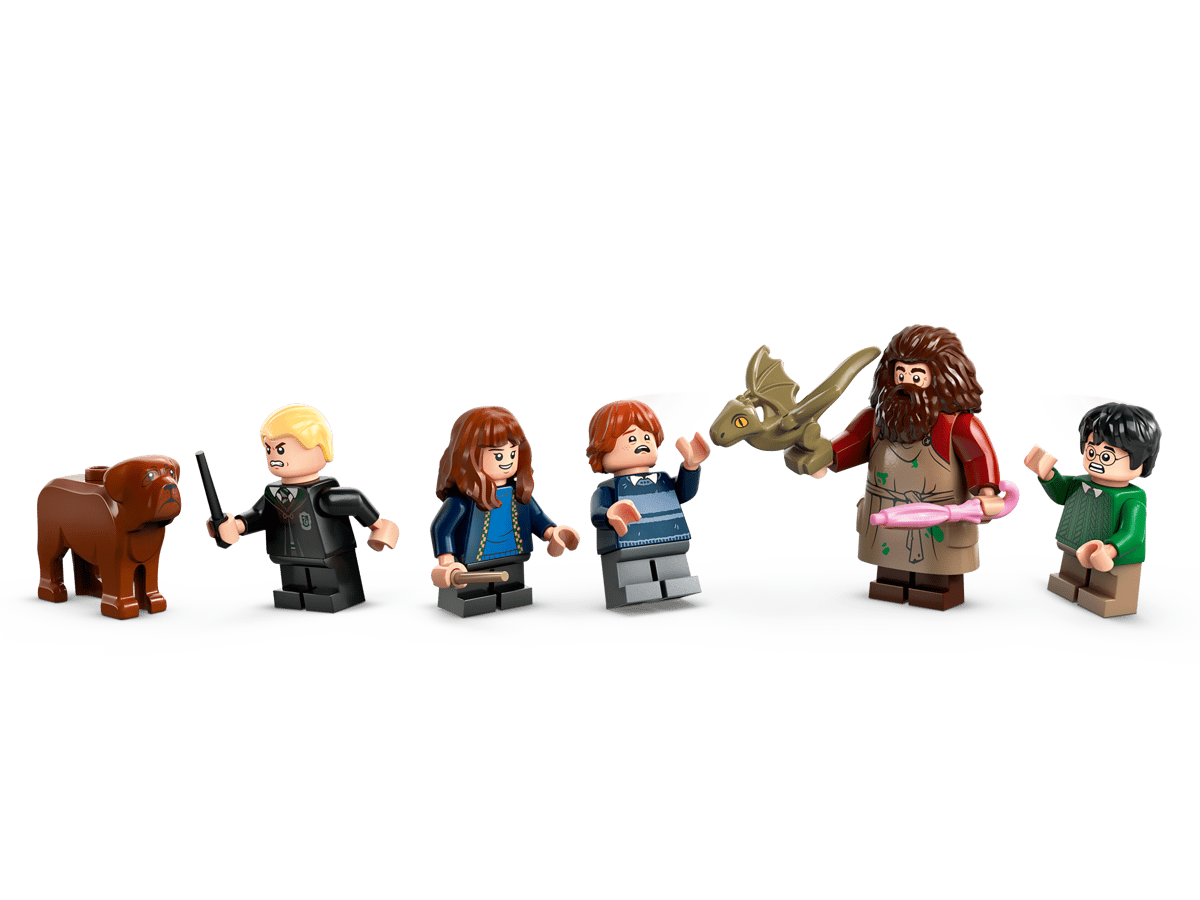 LEGO 76428 Harry Potter Hagrid's Hut: An Unexpected Visit | 896 PCS | Retired