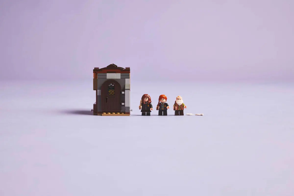 LEGO 76442 Hogwarts™ Castle: Charms Class | 204 PCS