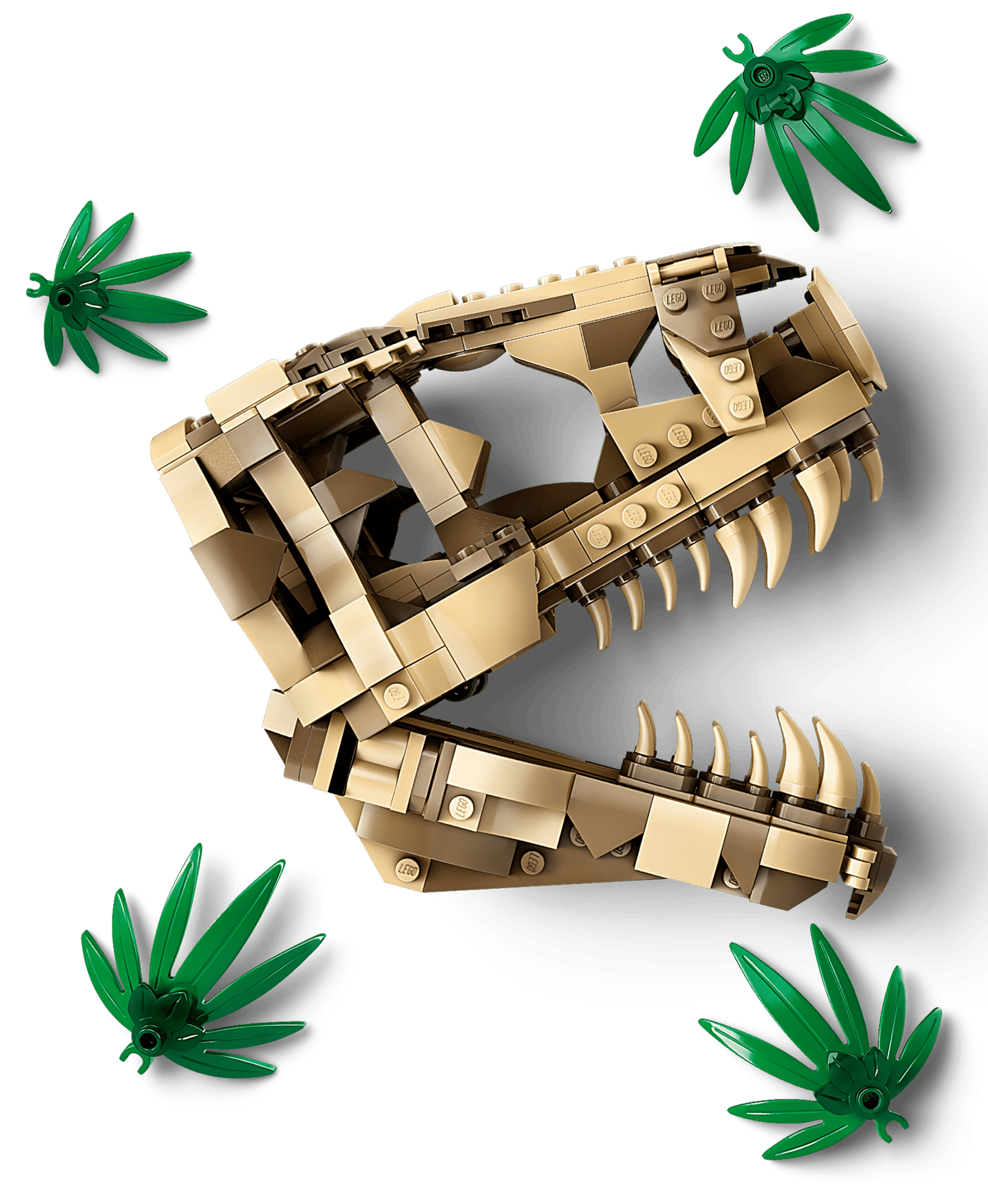 LEGO 76964 Jurasic World Dinosaur Fossils: T. rex Skull | 577 PCS | Retired