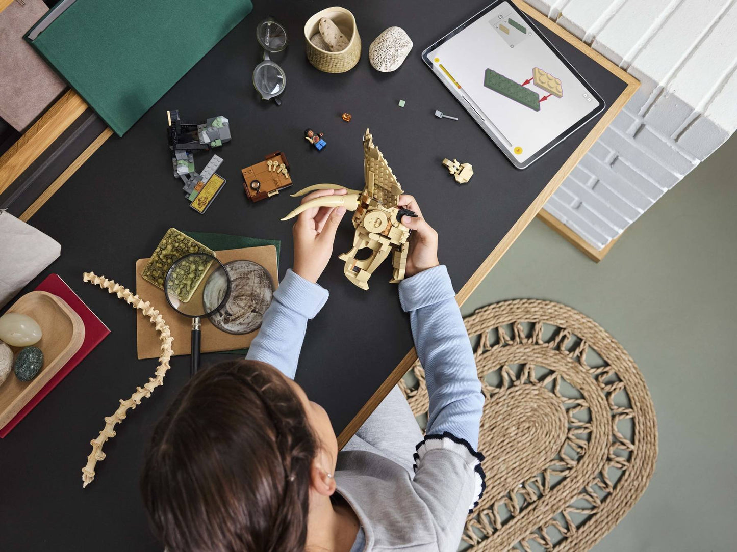 LEGO 76969 Dinosaur Fossils: Triceratops Skull | 468 PCS