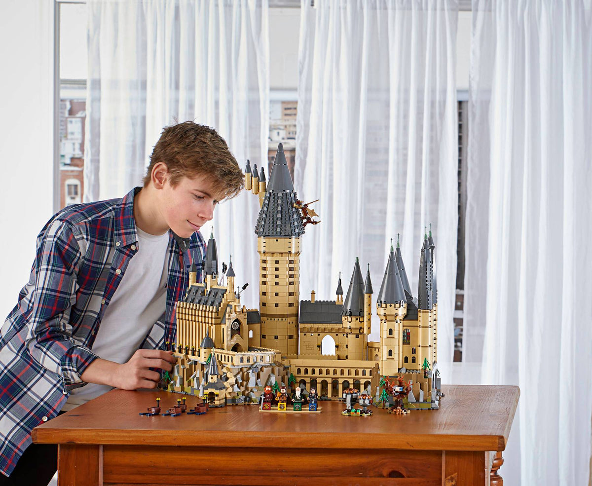 LEGO 71043 Harry Potter Hogwarts™ Castle | 6020 PCS
