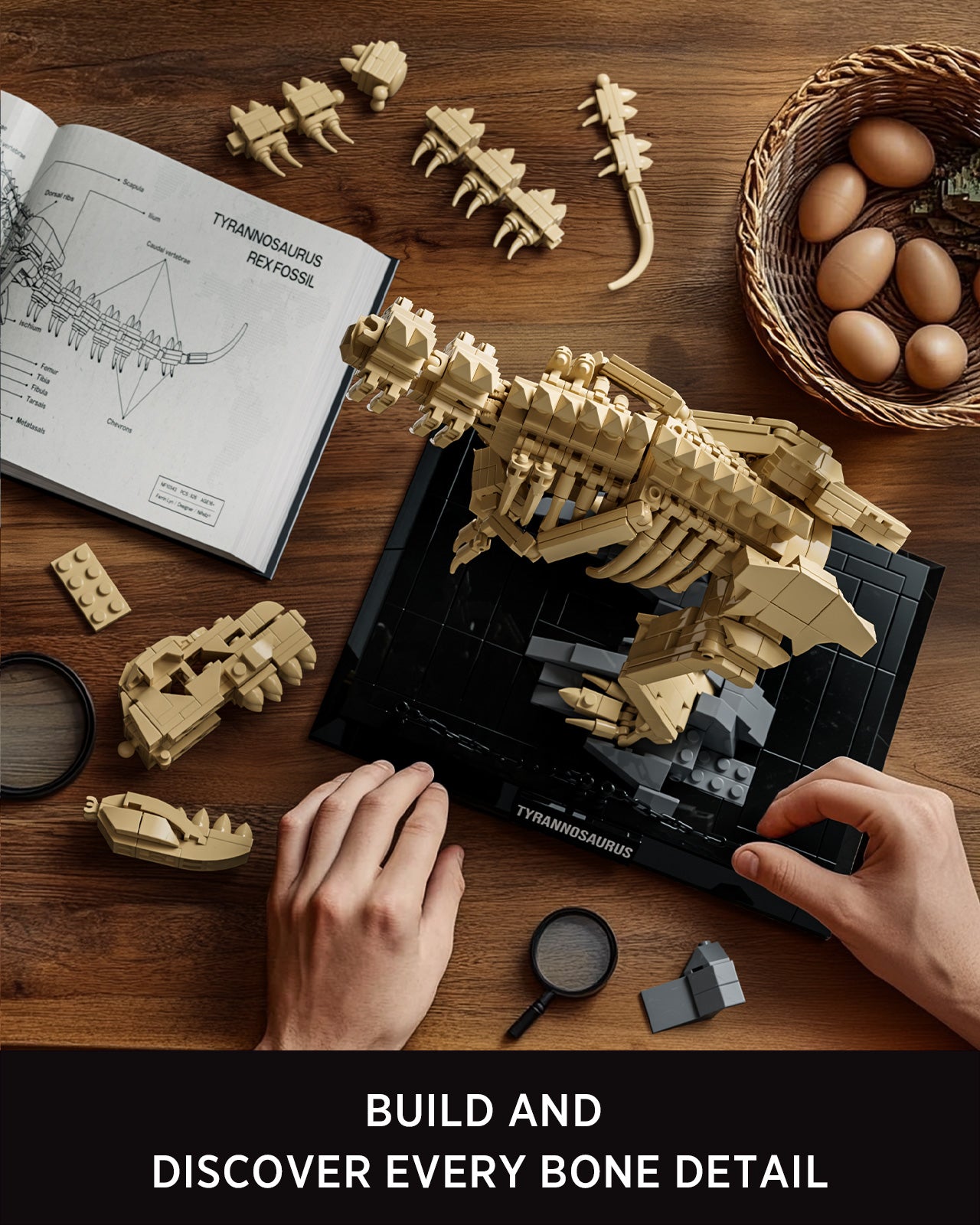 Nifeliz NF10343 T-Rex Fossils Building Set | 826 PCS