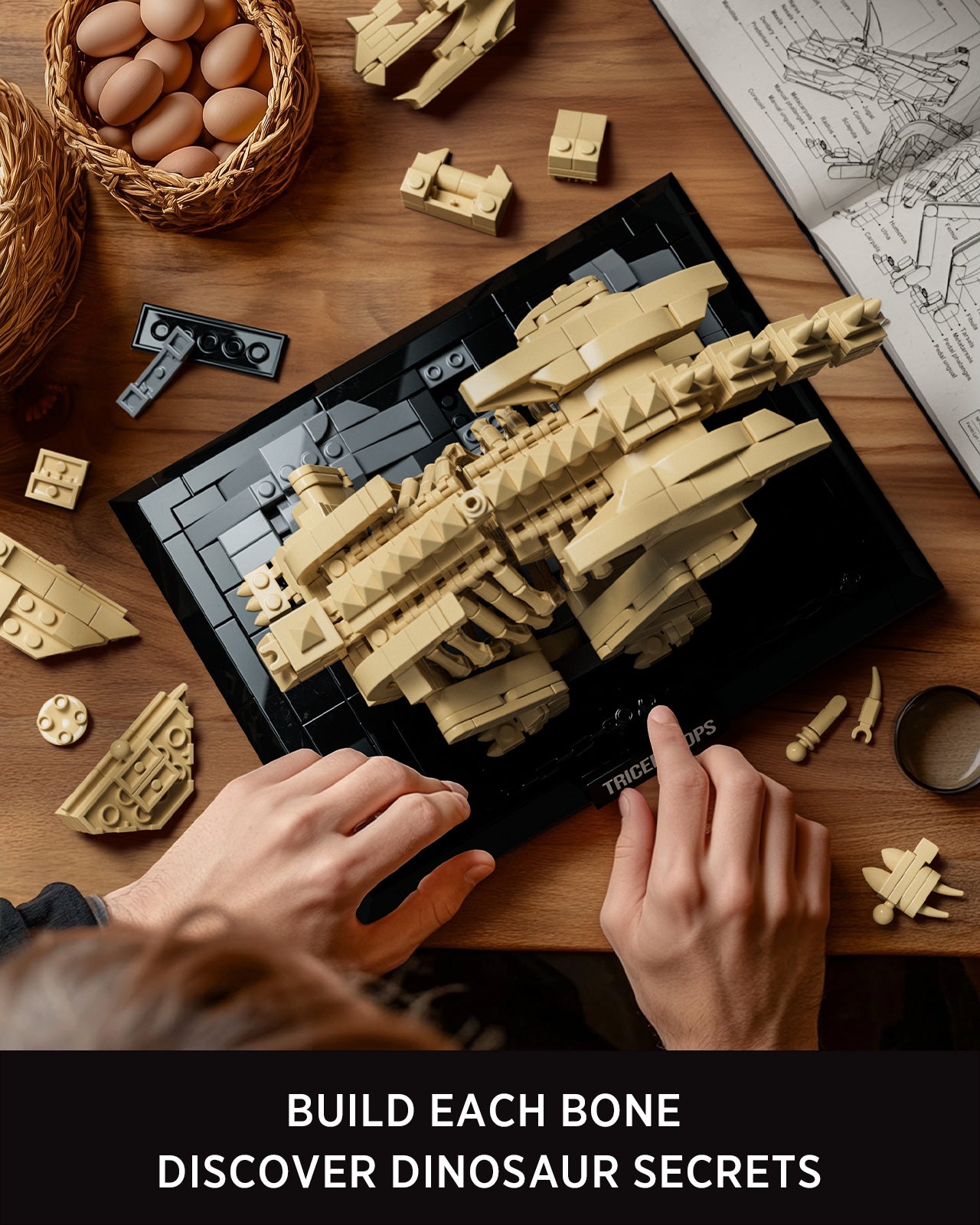 Nifeliz NF10351 Triceratops Fossil Building Set | 798 PCS