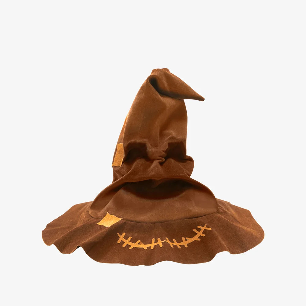 PUREMIND 1632 Harry Potter Talking Sorting Hat Building Toy Set | 164 PCS