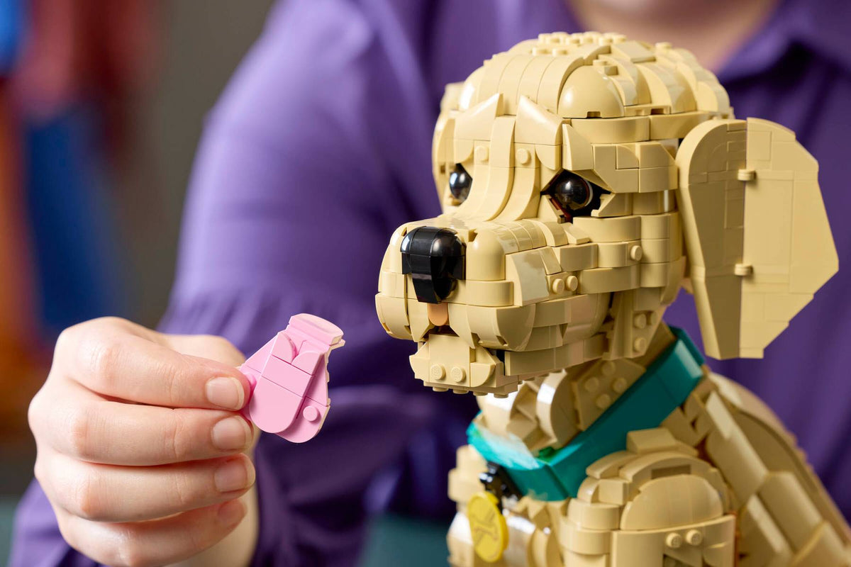 11384 Golden Retriever Puppy | 2102 PCS