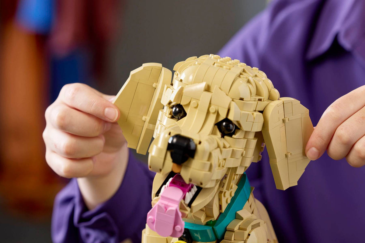 11384 Golden Retriever Puppy | 2102 PCS