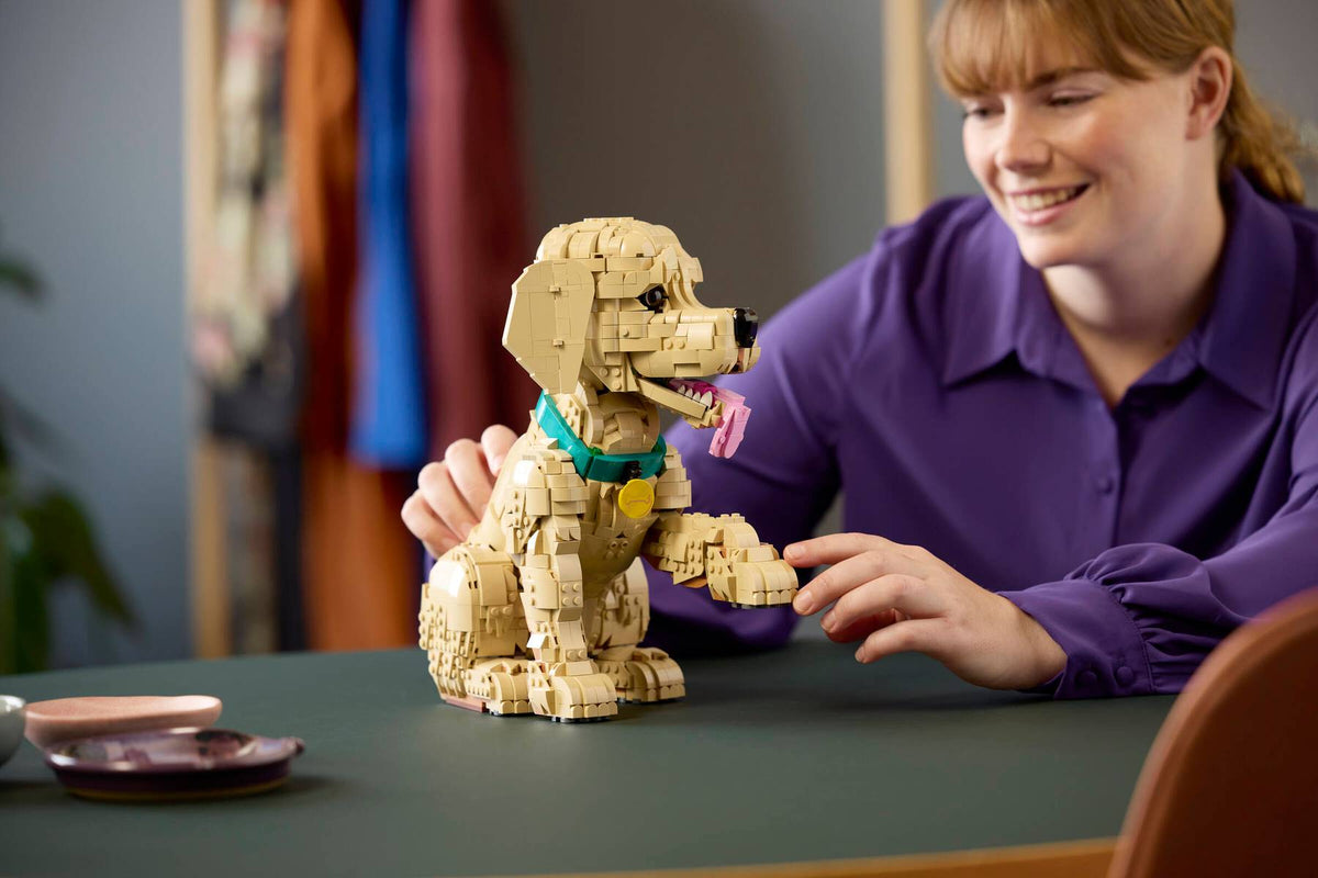 11384 Golden Retriever Puppy | 2102 PCS