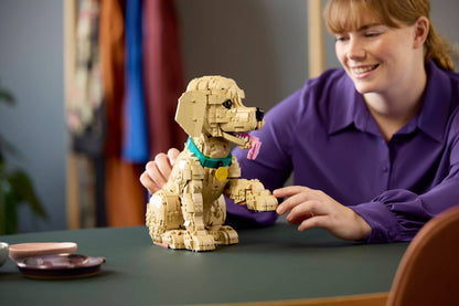 11384 Golden Retriever Puppy | 2102 PCS