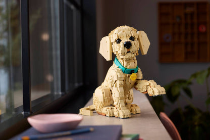 11384 Golden Retriever Puppy | 2102 PCS