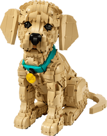 LEGO 11384 Icons Golden Retriever Puppy | 2102 PCS