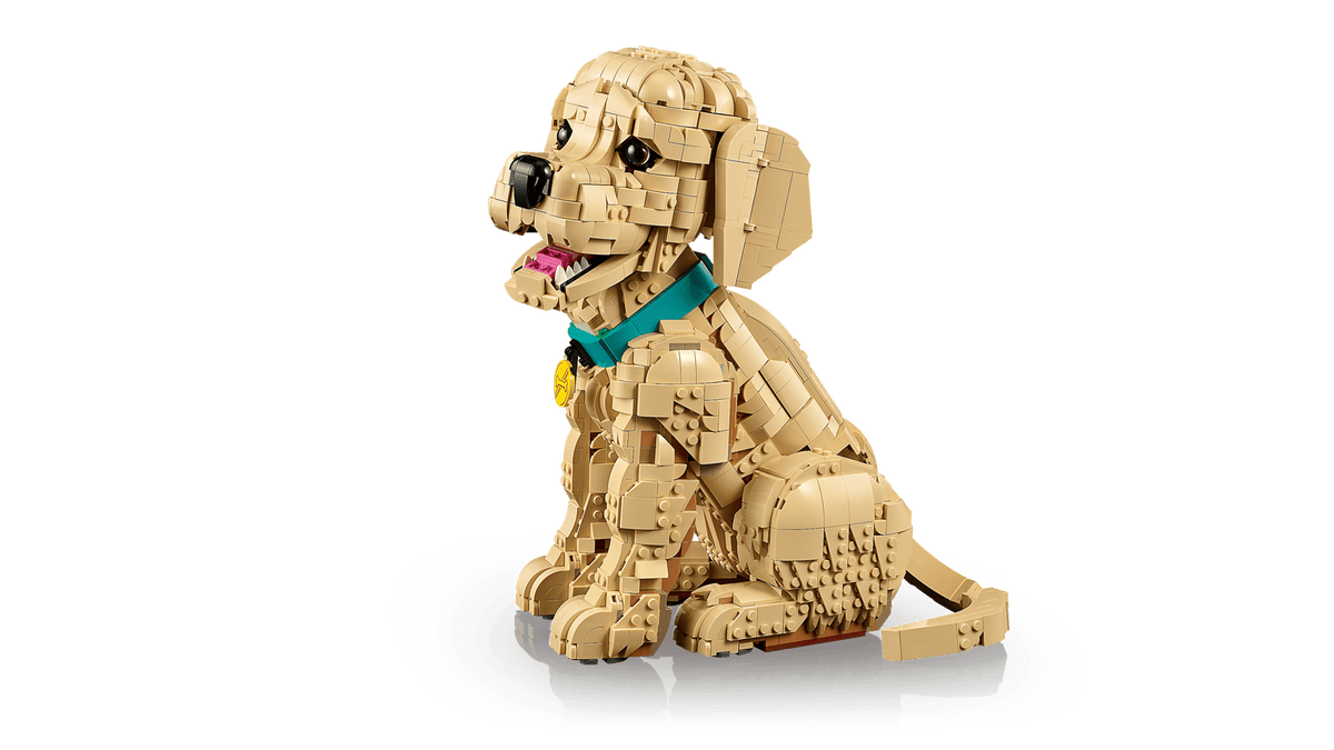 11384 Golden Retriever Puppy | 2102 PCS