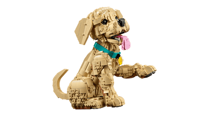 11384 Golden Retriever Puppy | 2102 PCS