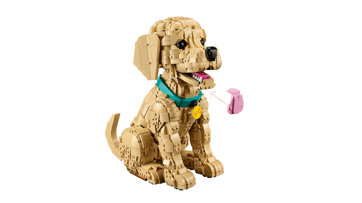 11384 Golden Retriever Puppy | 2102 PCS