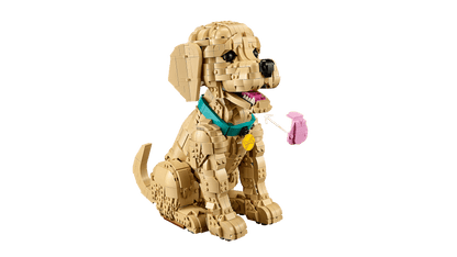 11384 Golden Retriever Puppy | 2102 PCS