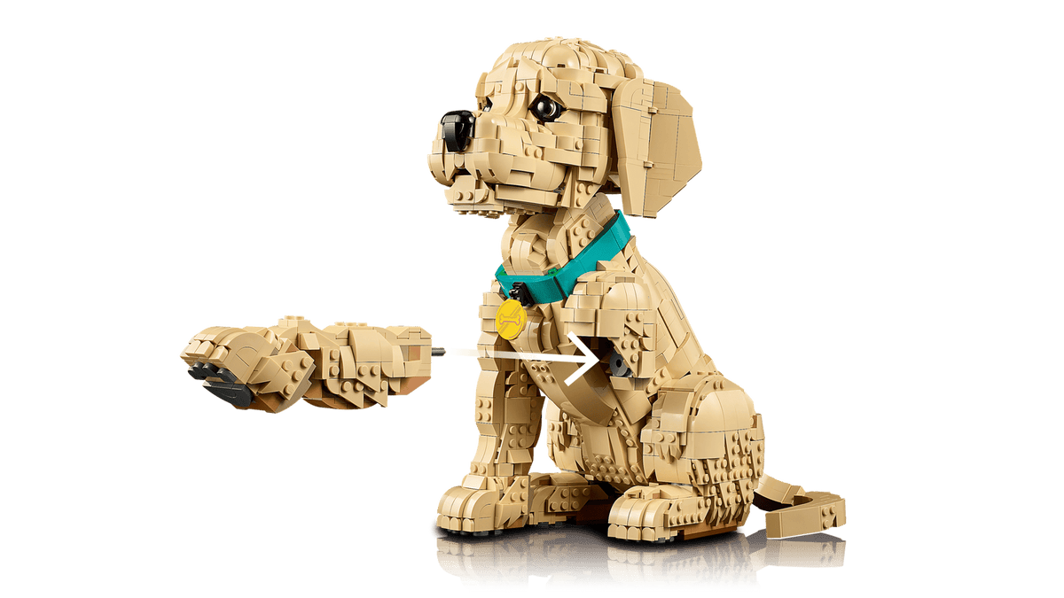 11384 Golden Retriever Puppy | 2102 PCS