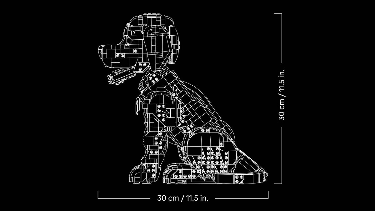 11384 Golden Retriever Puppy | 2102 PCS