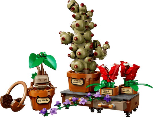 LEGO 76474 Harry potter Hogwarts™ Herbology Plants | 817 PCS