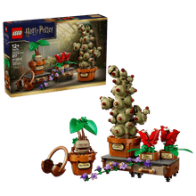 LEGO 76474 Harry potter Hogwarts™ Herbology Plants | 817 PCS