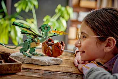 LEGO 76477 Harry potter Norbert: Hagrid's Baby Dragon | 482 PCS