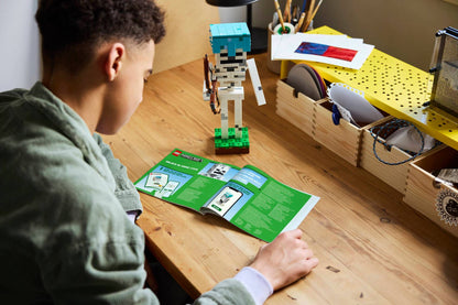 LEGO 21594 Minecraft The Skeleton | 502 PCS