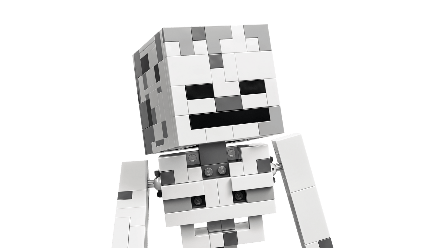 LEGO 21594 Minecraft The Skeleton | 502 PCS