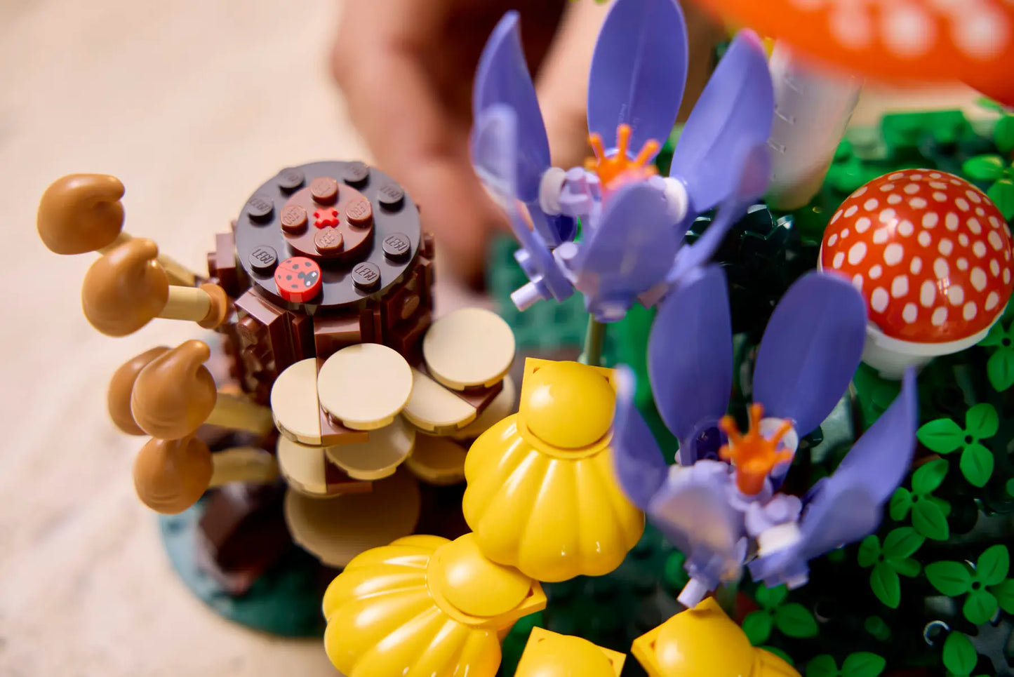 LEGO 11505 Botanicals Woodland Mushrooms | 806 PCS
