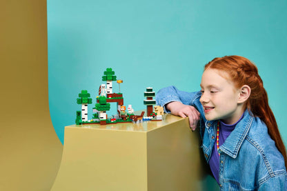 LEGO 21593 Minecraft First Night Adventure | 301 PCS