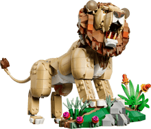 LEGO 31386 Creator 3in1 Wild Animals: Majestic Lion | 839 PCS
