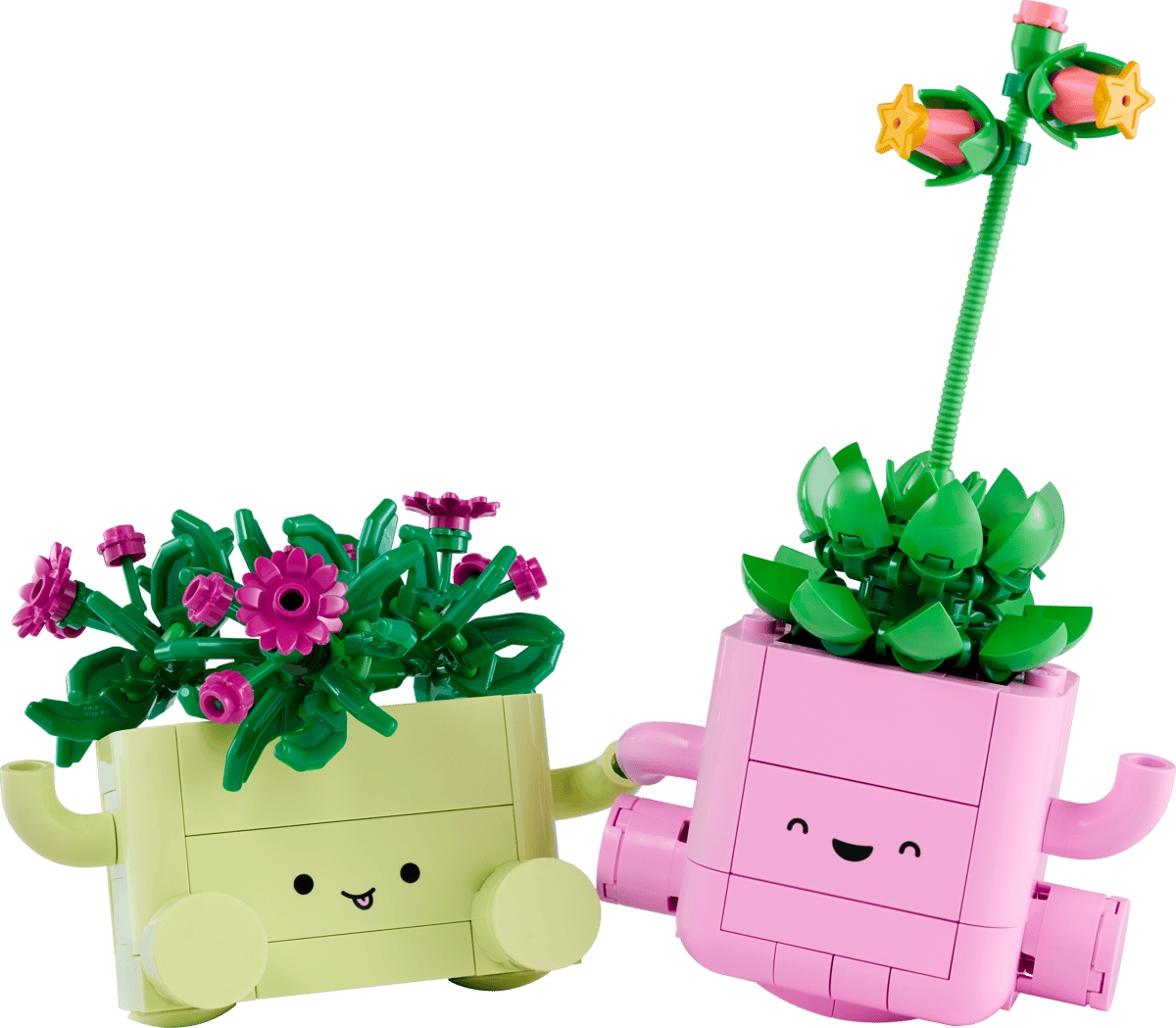 LEGO 11506 Botanicals Rocking Plants | 253 PCS